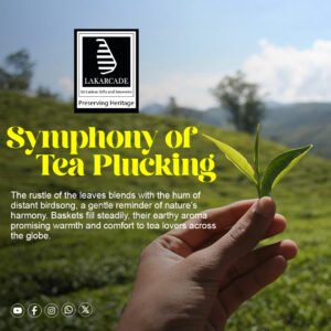 Tea & Spices