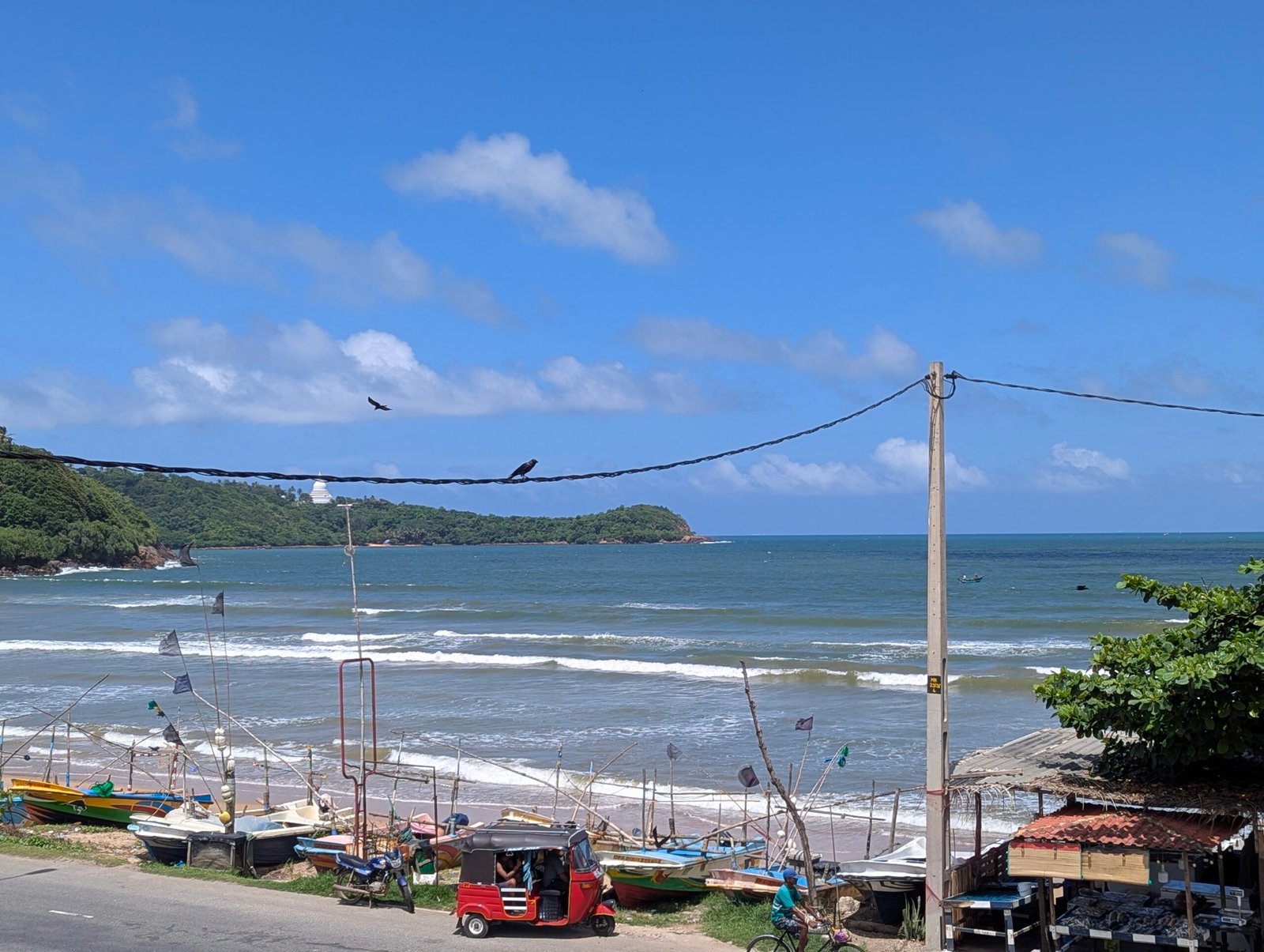 Galle 4